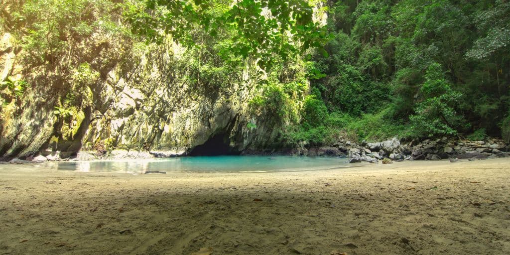 Trang 4 Islands