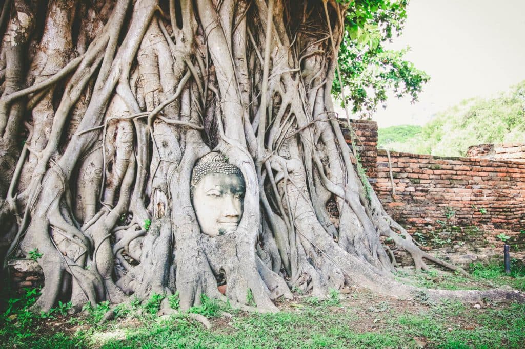Full-Day Ayutthaya Tour : By Bus – Return by Boat with Buffet Cruise - Photo 3