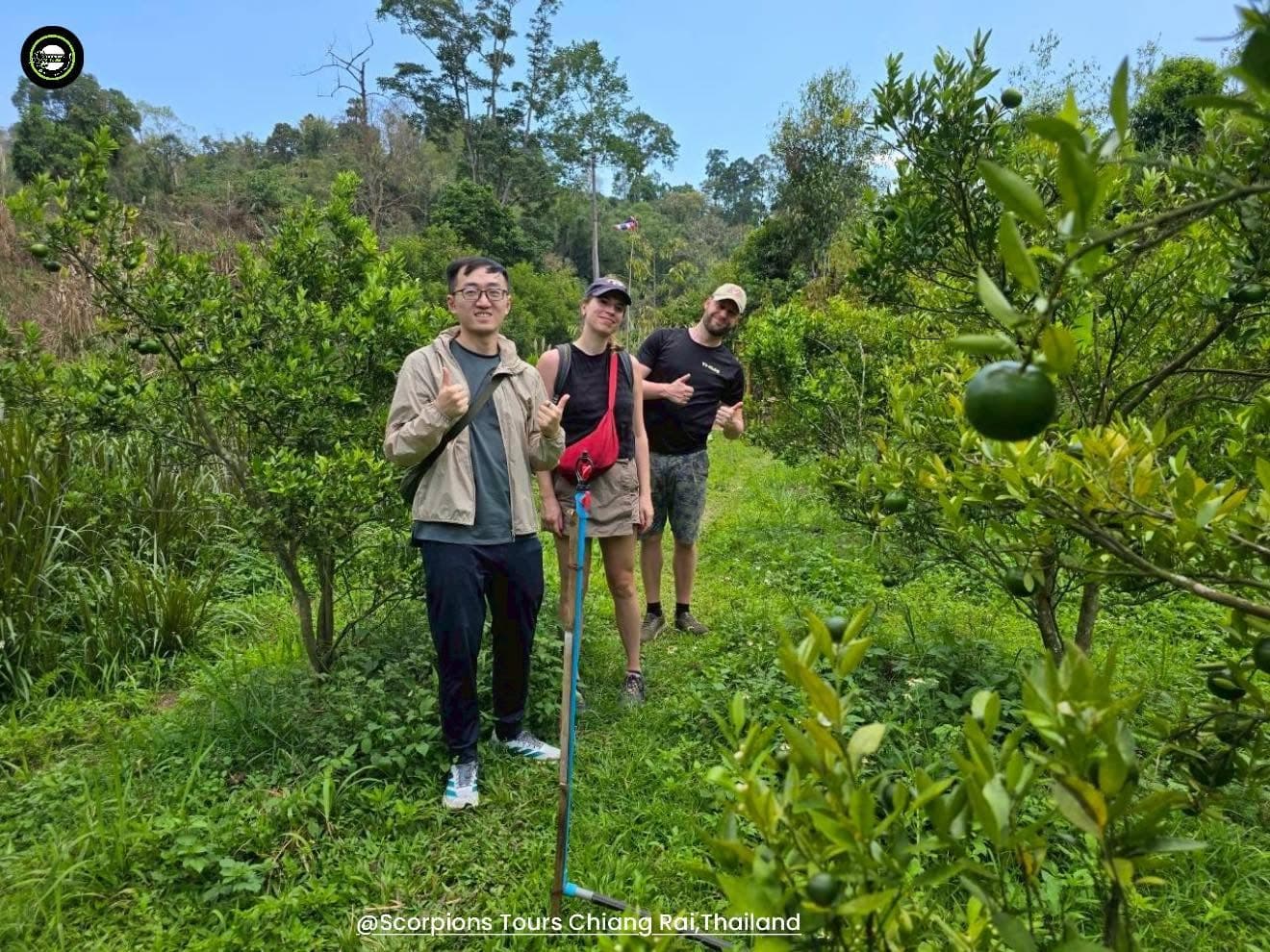Hero image for Chiang Rai Trekking with Local Walk and Bamboo Cooking