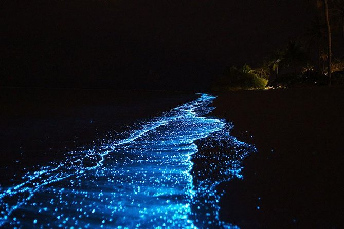 Bioluminescent Plankton Night Swimming in Krabi with Longtail Boat