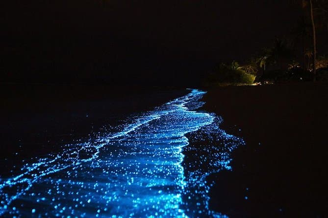Hero image for Bioluminescent Plankton Night Swimming in Krabi with Longtail Boat