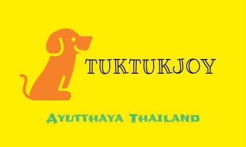 Tuk Tuk Joy Ayutthaya Thailand